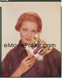 7a133 PATRICIA NEAL 8x10 transparency 1961 portrait holding her mask from Breakfast at Tiffany's!