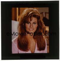 7a420 RAQUEL WELCH 3x4 transparency 1970s head & shoulders smiling portrait of the sexy star!