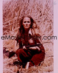 7a243 RED SUN 4x5 transparency 1972 close up of sexy Ursula Andress crouching with rifle!