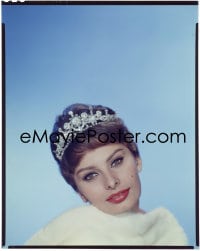 7a137 SOPHIA LOREN 8x10 transparency 1950s glamorous Paramount portrait wearing fur & tiara!