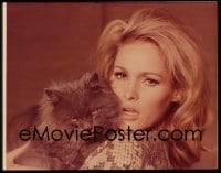7a273 WHAT'S NEW PUSSYCAT 4x5 transparency 1965 portrait of sexy Ursula Andress with her cat!