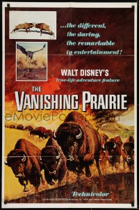7b916 VANISHING PRAIRIE 1sh R1968 Walt Disney True-Life Adventure, cool art of stampeding buffalo!