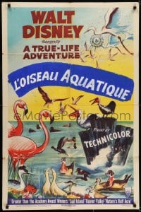 7b931 WATER BIRDS style A 1sh 1952 Walt Disney True Life Adventure, Pelicans & other avians!