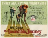 7c115 INCREDIBLE JOURNEY TC 1963 Disney, Bull Terrier, Siamese cat & Labrador Retriever!