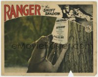 7c912 SWIFT SHADOW LC 1927 cool close up of Ranger the German Shepherd pulling down reward sign!