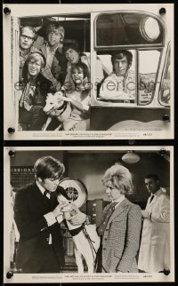 7d965 MRS BROWN YOU'VE GOT A LOVELY DAUGHTER 2 8x10 stills 1968 Peter Noone, Herman's Hermits!