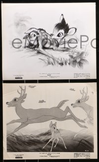 7d467 BAMBI 9 8x10 stills R1966 Walt Disney, great images from animated cartoon deer classic!