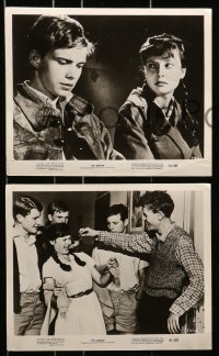 7d628 BRIDGE 6 8x10 stills 1961 German teens in World War II, Folker Bohnet, Fritz Wepper!