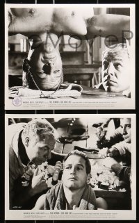 7d507 COOL HAND LUKE 8 8x10 stills 1967 Paul Newman, George Kennedy & Dennis Hopper!