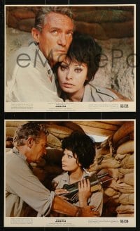 7d026 JUDITH 10 color 8x10 stills 1966 Daniel Mann directed, sexiest Sophia Loren & Peter Finch!