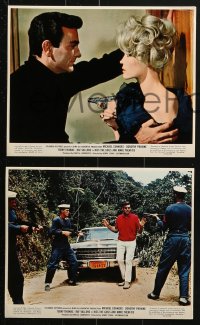 7d034 KISS THE GIRLS & MAKE THEM DIE 9 color 8x10 stills 1966 Mike Connors & sexy Dorothy Provine!