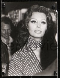 7d294 SOPHIA LOREN 32 from 7x9.5 to 8.25x10.25 stills 1950s-1970s w/Mastroianni, Holden and more!