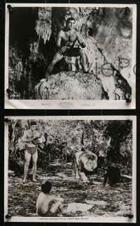 7d717 TARZAN & THE VALLEY OF GOLD 5 8x10 stills 1966 cool jungle action images of Mike Henry!