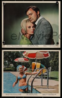7d266 VENETIAN AFFAIR 3 color 8x10 stills 1967 spies Robert Vaughn & sexy Elke Sommer!
