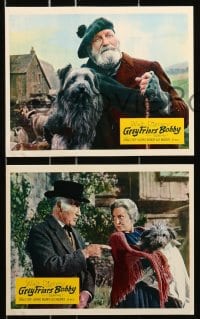 7d090 GREYFRIARS BOBBY 8 color English FOH LCs 1961 Walt Disney, great images of cute Skye Terrier!