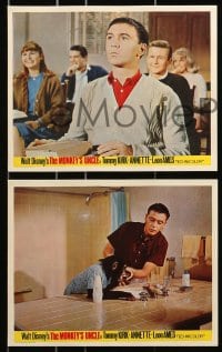 7d178 MONKEY'S UNCLE 7 color English FOH LCs 1965 Walt Disney, Annette Funnicello, Tommy Kirk!