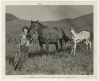 7h371 FRANCES DEE 8.25x10 still 1937 at her San Fernando Valley ranch with two of her horses!