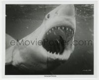 7h495 JAWS 8.25x10 still 1975 best close up of Bruce, the great white shark with his mouth open!