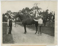 7h605 MAN O' WAR 8x10 news photo 1929 measuring legendary race horse for life-size bronze statue!
