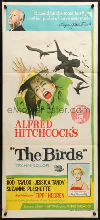 7j110 BIRDS Aust daybill 1963 director Alfred Hitchcock shown, Tippi Hedren, intense attack artwork