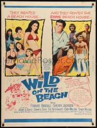 7k145 WILD ON THE BEACH 30x40 1965 Frankie Randall, Sherry Jackson, Sonny & Cher, teen rock & roll!