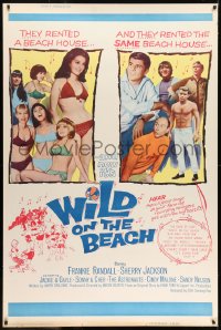 7k423 WILD ON THE BEACH style Z 40x60 1965 Frankie Randall, Sherry Jackson, Sonny & Cher, rock & roll!