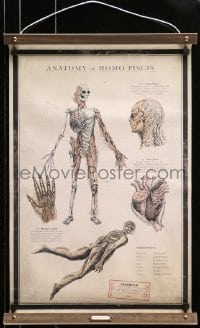 7k001 SHAPE OF WATER 18x27 special promotional poster 2017 anatomy chart of the Amphibian Man!
