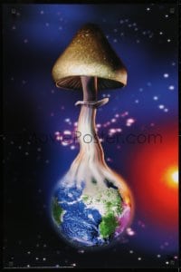 7r408 MAGIC MUSHROOM 24x36 Swiss commercial poster 2003 Nassarella art of it growing from Earth!