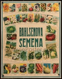 7r389 BAHLSEN 19x24 Czech advertising poster 1920s many different flowers and vegetables!