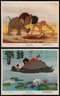 7x305 JUNGLE BOOK 2 color 8x10 stills 1967 Disney, great cartoon images of Mowgli & his friends!
