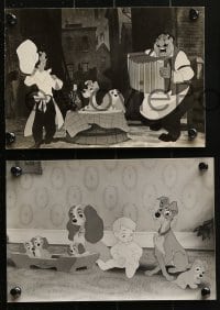 7x697 LADY & THE TRAMP 6 6.5x9.5 stills 1955 Disney classic dog cartoon, great scenes!