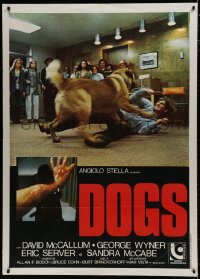 7y172 DOGS Italian 1p 1977 different image of crowd watching canine attack man on floor!