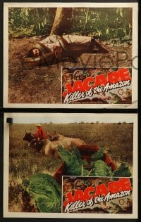 7z470 JACARE 7 LCs R1948 Frank Buck's first feature picture ever filmed in the wild Amazon Jungle!