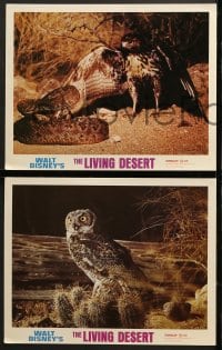 7z657 LIVING DESERT 4 LCs R1971 first feature-length Disney True-Life adventure, cool snake & hawk c/u!