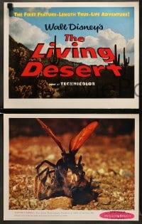 7z023 LIVING DESERT 9 LCs 1953 first feature-length Disney True-Life adventure!