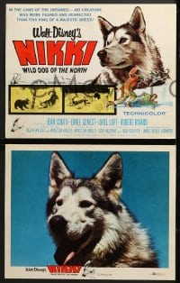 7z296 NIKKI 8 LCs 1961 Walt Disney, Curwood, Jean Coutu, Emile Genest, wild dog movie!