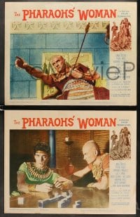 7z327 PHARAOHS' WOMAN 8 LCs 1961 La donna dei faraoni, sexy Linda Cristal in the title role!
