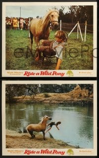 7z487 RIDE A WILD PONY 7 LCs 1976 Disney, a rich girl, a poor boy, Australian horses!
