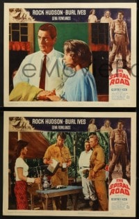 7z499 SPIRAL ROAD 7 LCs 1962 great images of Rock Hudson & Gena Rowlands in jungle adventure!