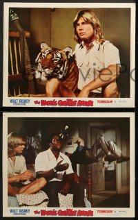 7z508 WORLD'S GREATEST ATHLETE 7 LCs 1973 Walt Disney, Jan-Michael Vincent goes from jungle to gym!