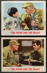 7z434 YOUNG & THE BRAVE 8 LCs 1963 Rory Calhoun, William Bendix, Richard Jaeckel!