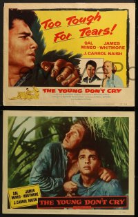 7z435 YOUNG DON'T CRY 8 LCs 1957 images of Sal Mineo, too tough for tears, James Whitmore!