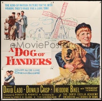 8b348 DOG OF FLANDERS 6sh 1959 close up of David Ladd with his huge beloved dog!