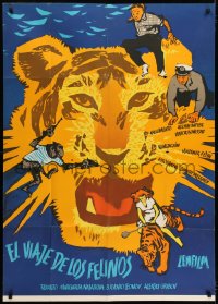 8b003 STRIPED LOAD export Russian 33x46 1961 Datskevich art of top stars with tigers & chimp!