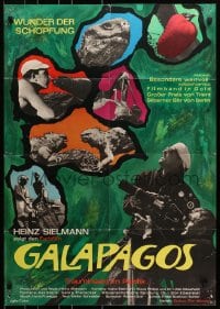 8c590 GALAPAGOS - TRAUMINSEL IM PAZIFIK German 1962 cool image of huge tortoise & animals!