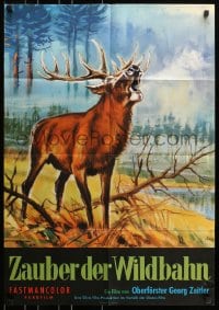 8c682 ZAUBER DER WILDBAHN German 1964 Georg Zeitler, Klaus Dill art of an elk in the forest!