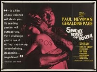 8f964 SWEET BIRD OF YOUTH British quad 1962 Paul Newman, Geraldine Page, Tennessee Williams' play!