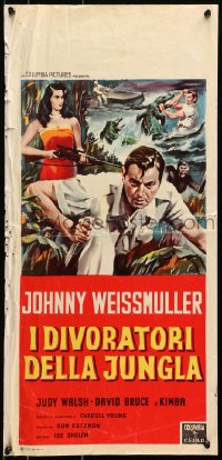 8f641 CANNIBAL ATTACK Italian locandina 1960 Johnny Weissmuller w/knife, fighting alligators!