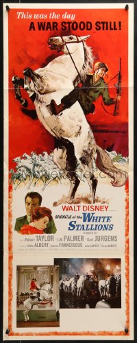 8g249 MIRACLE OF THE WHITE STALLIONS insert 1963 Disney, Lipizzaner stallions art, Robert Taylor!