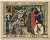 8j984 WILD JUSTICE LC 1925 German Shepherd Peter the Great watches his master get romantic!
